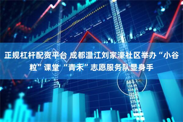 正规杠杆配资平台 成都温江刘家濠社区举办“小谷粒”课堂 “青禾”志愿服务队显身手