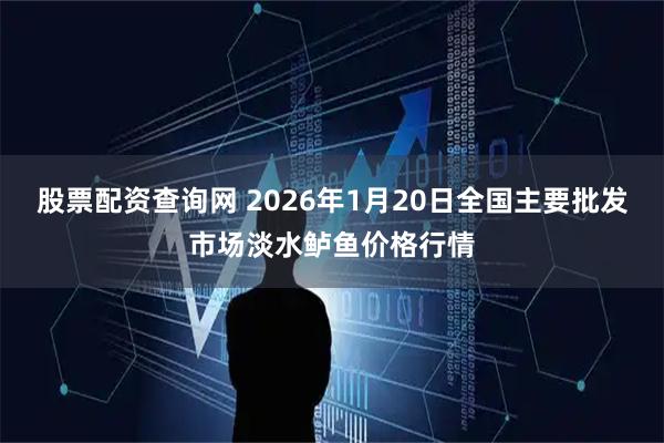 股票配资查询网 2026年1月20日全国主要批发市场淡水鲈鱼价格行情